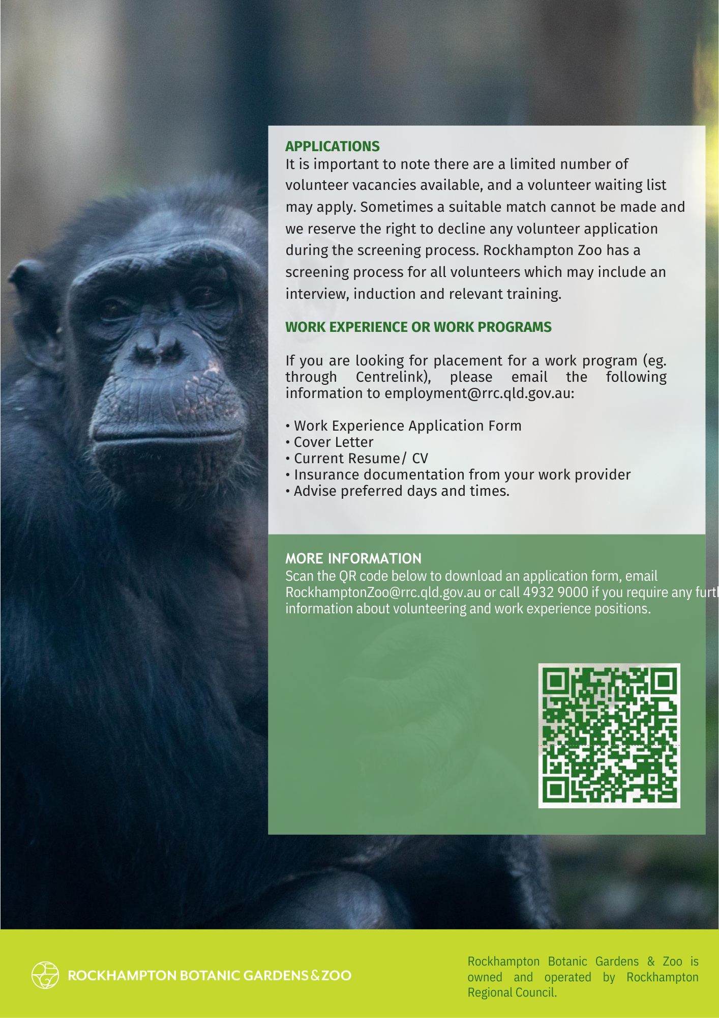Page-2-volunteer-chimp.png