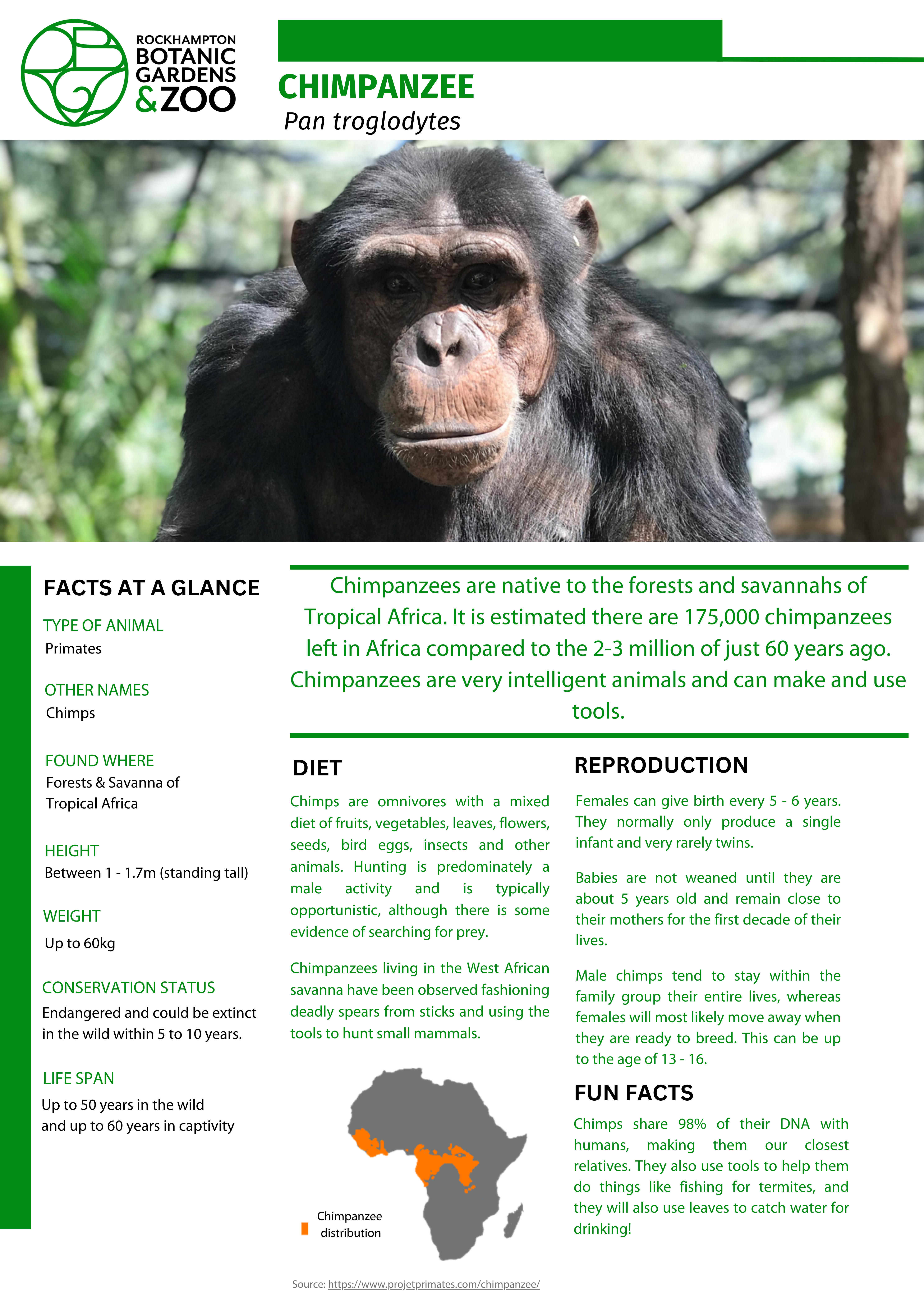 Chimps-Educational-Fact-Sheet.png