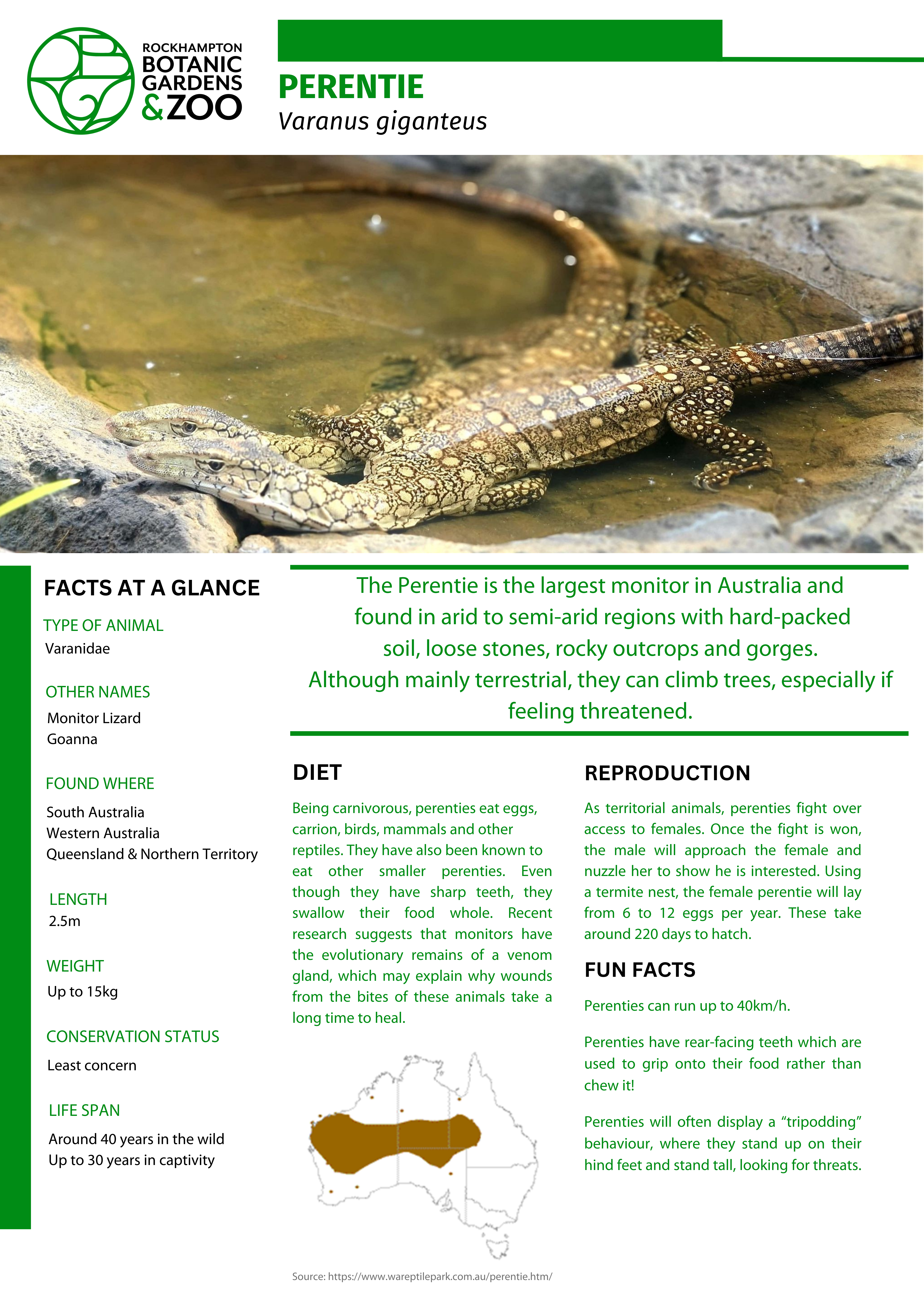 Perentie-Fact-Sheet.png