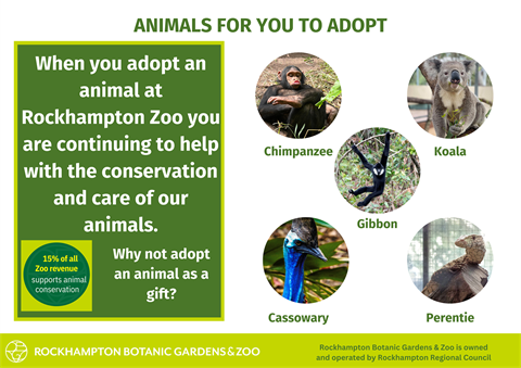 Adopt-and-animal-image-for-website.png