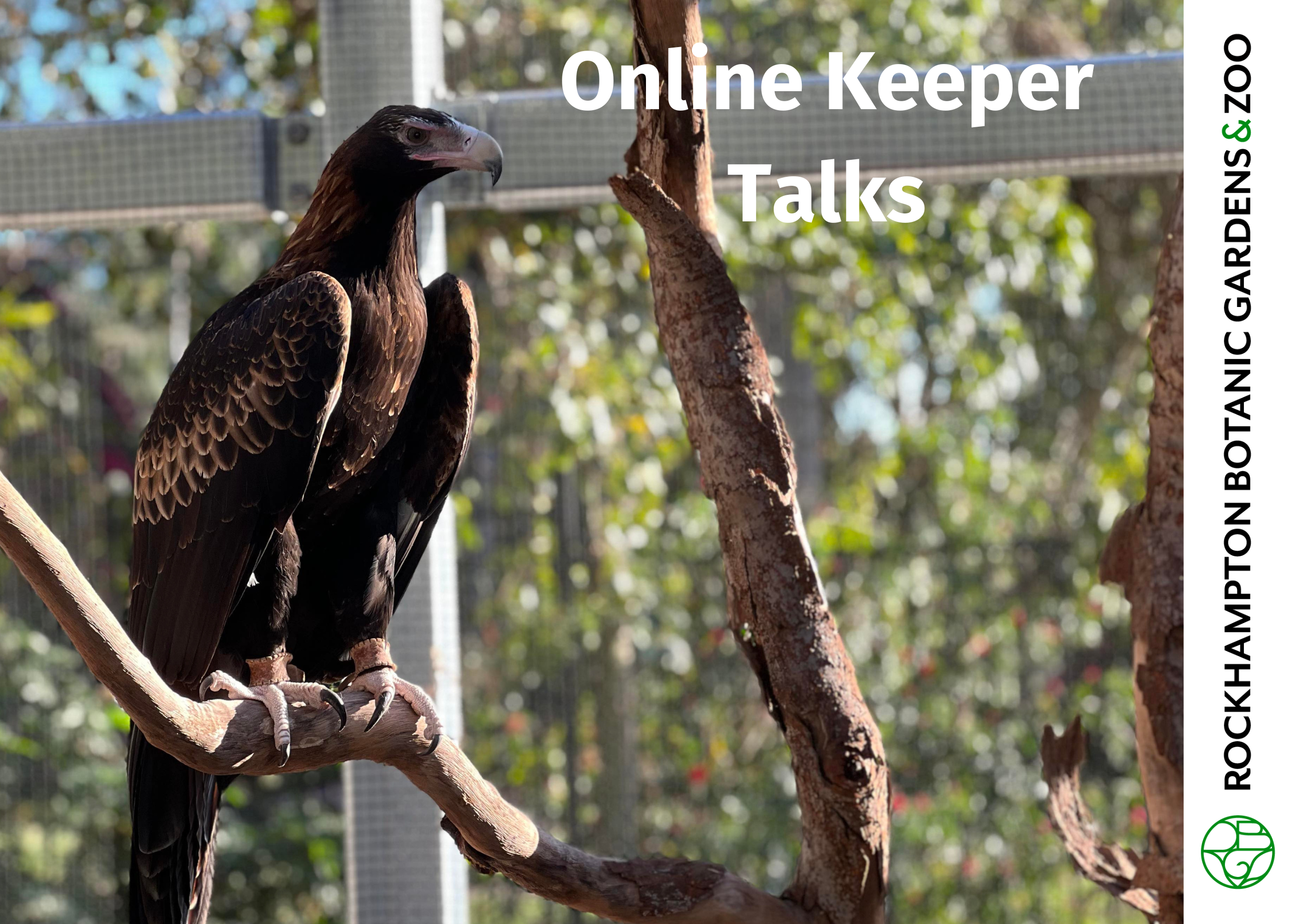 Online keeper talks